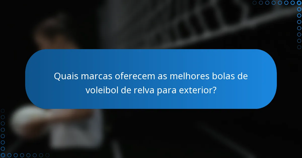 Quais marcas oferecem as melhores bolas de voleibol de relva para exterior?